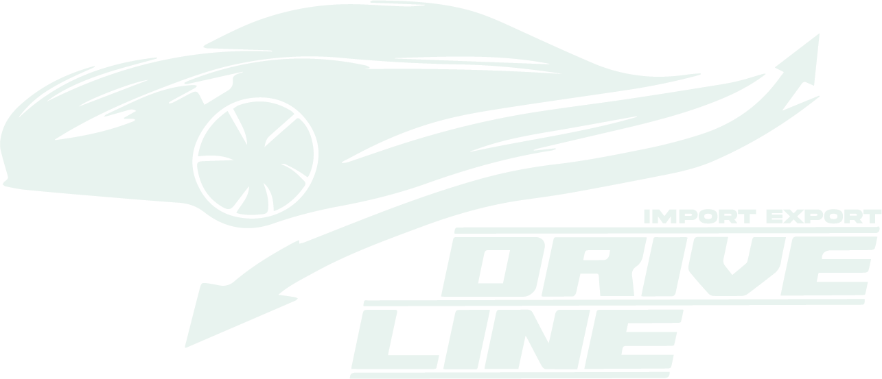 Logo DriveLine